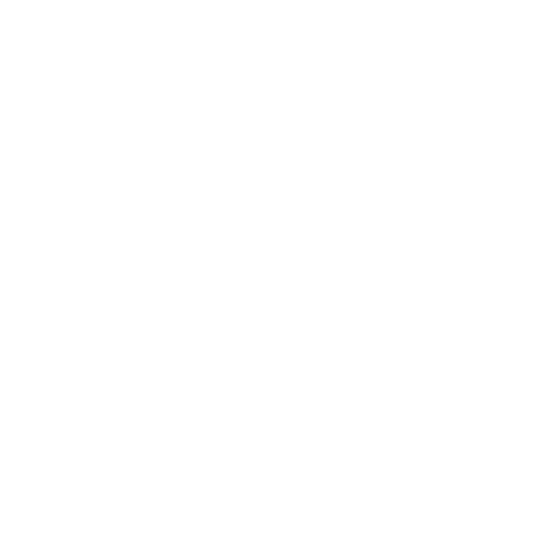BERTON Logo